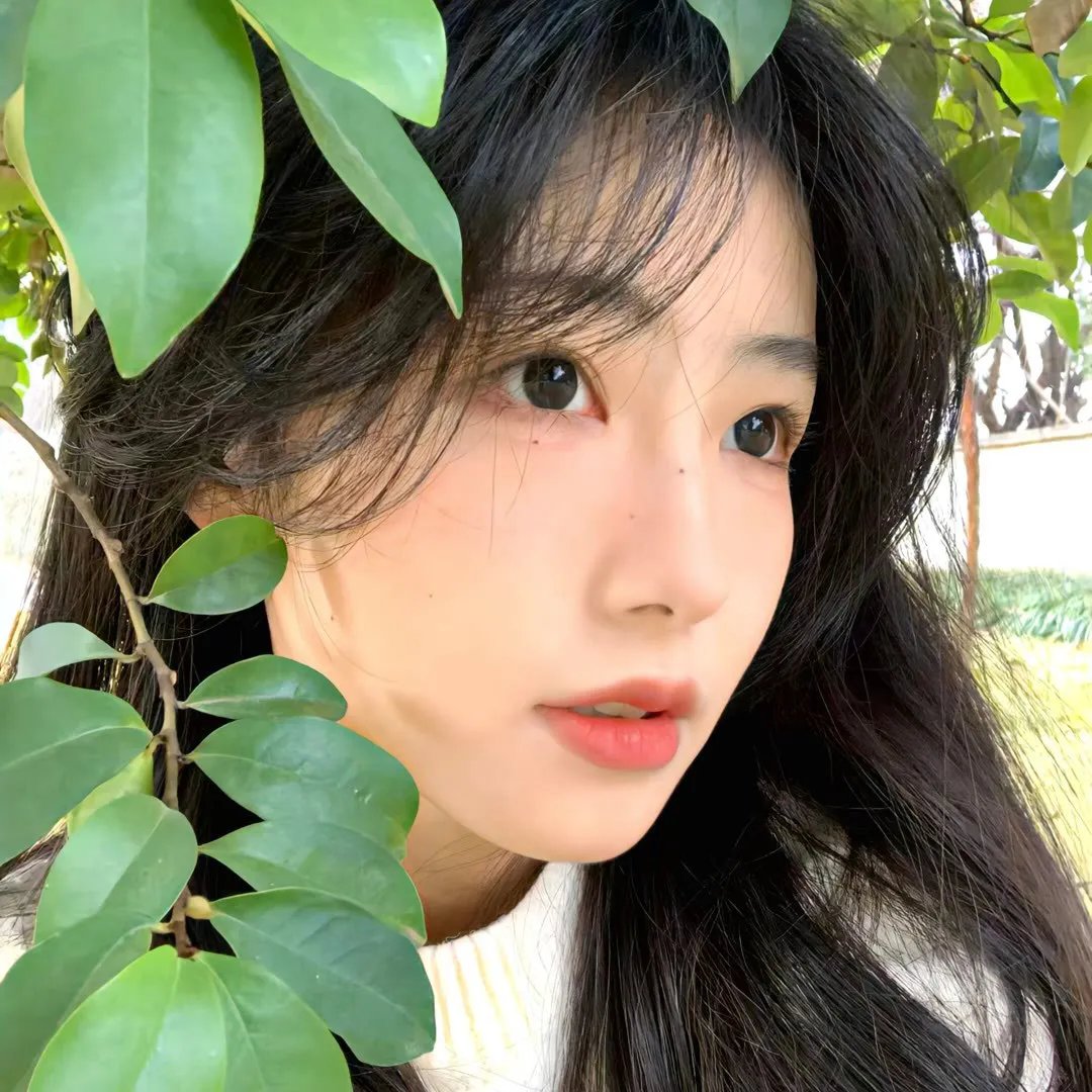 国王的全息图
